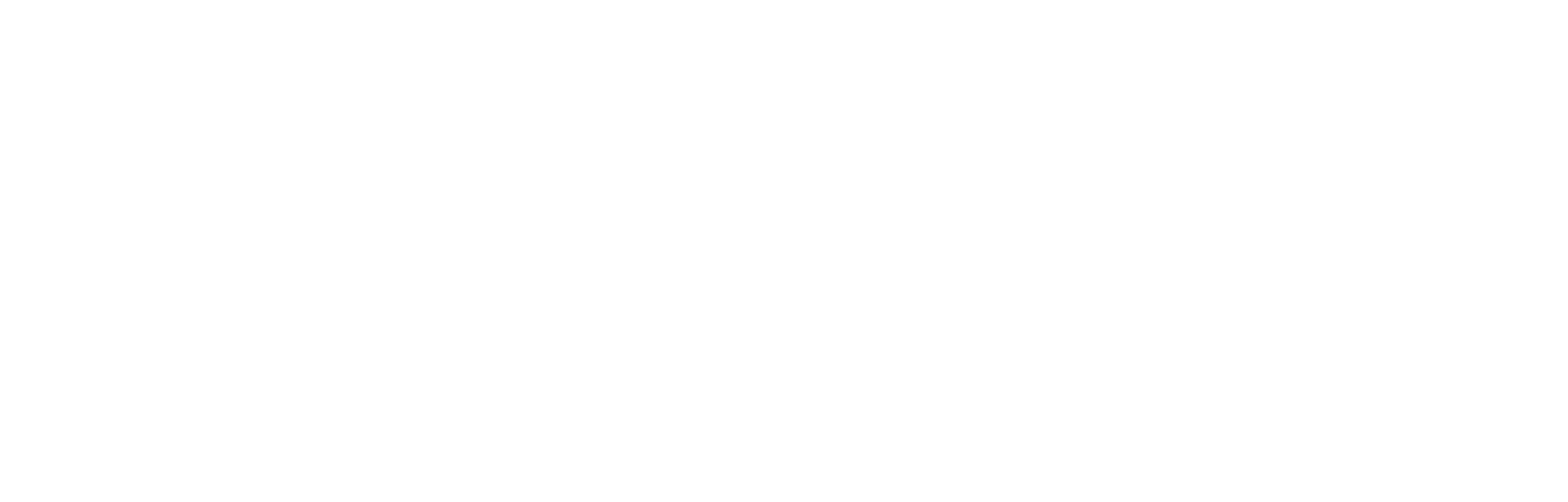 Central Sul de Leilões - Logo